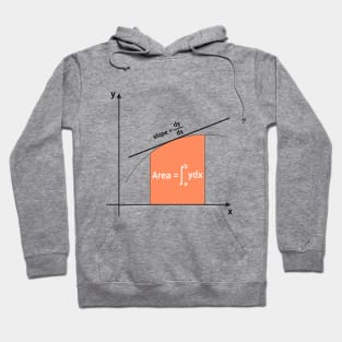 slope of the curve and integral area Hoodie